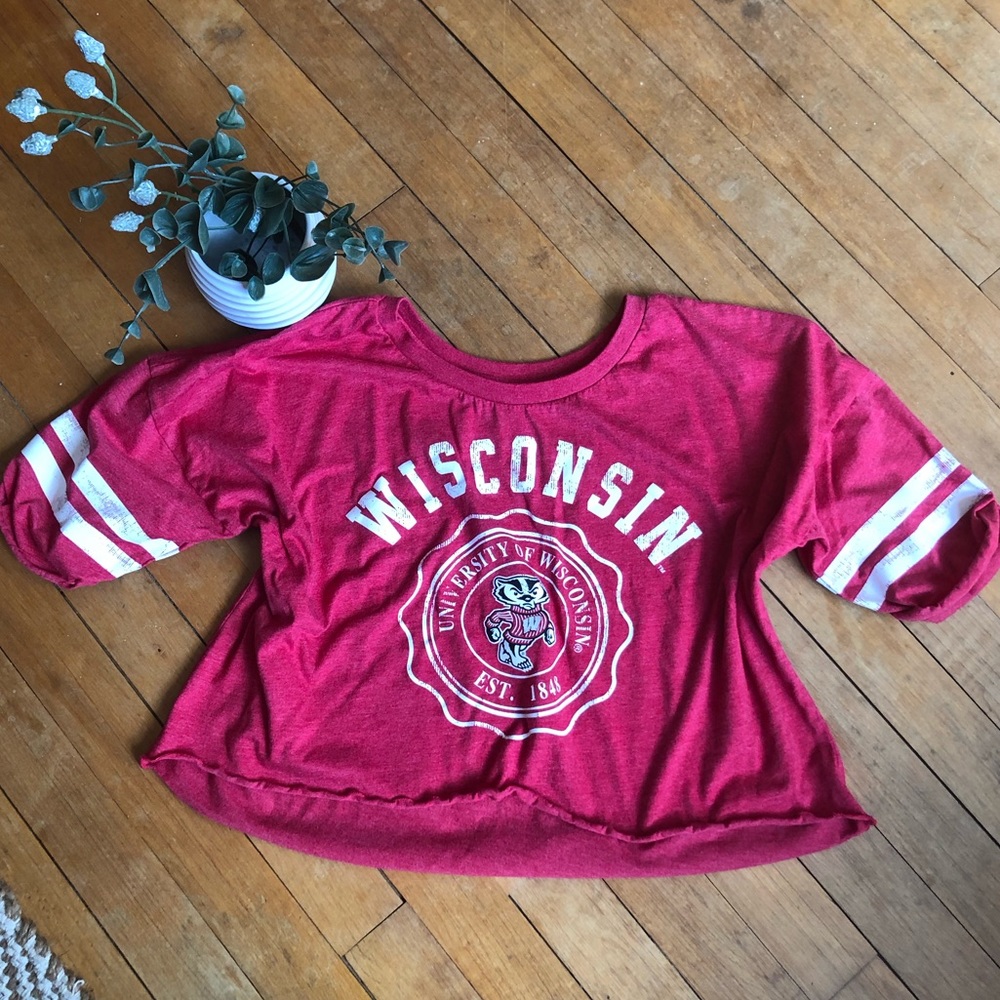 Bucky Badger Wisconsin Crop Top